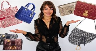 Ladies leather purses- Evolutionary Ladies Fashion Item