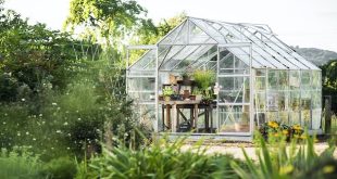 Everything You Need to Know About Greenhouses