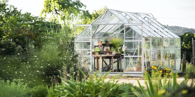 Everything You Need to Know About Greenhouses