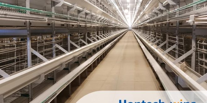 Why Should Use Hontech Wins Agriculture Lighting